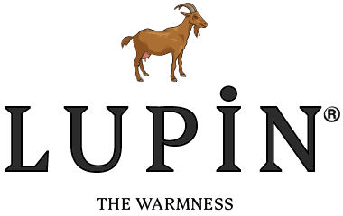 Lupin